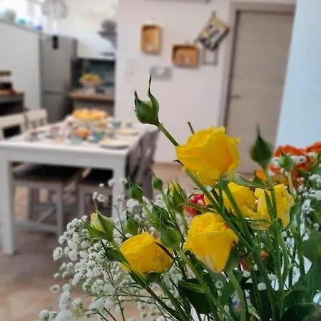 Domus Onda باليستراتي